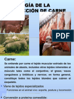 1conversión Del Músculo A Carne