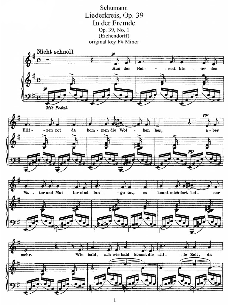 Schumann in der fremde pdf