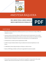 Anestesia Raquidea y Anestesia