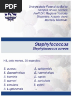 Universidade Federal Da Bahia