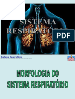 Sistema Respiratório