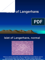 Pancreas