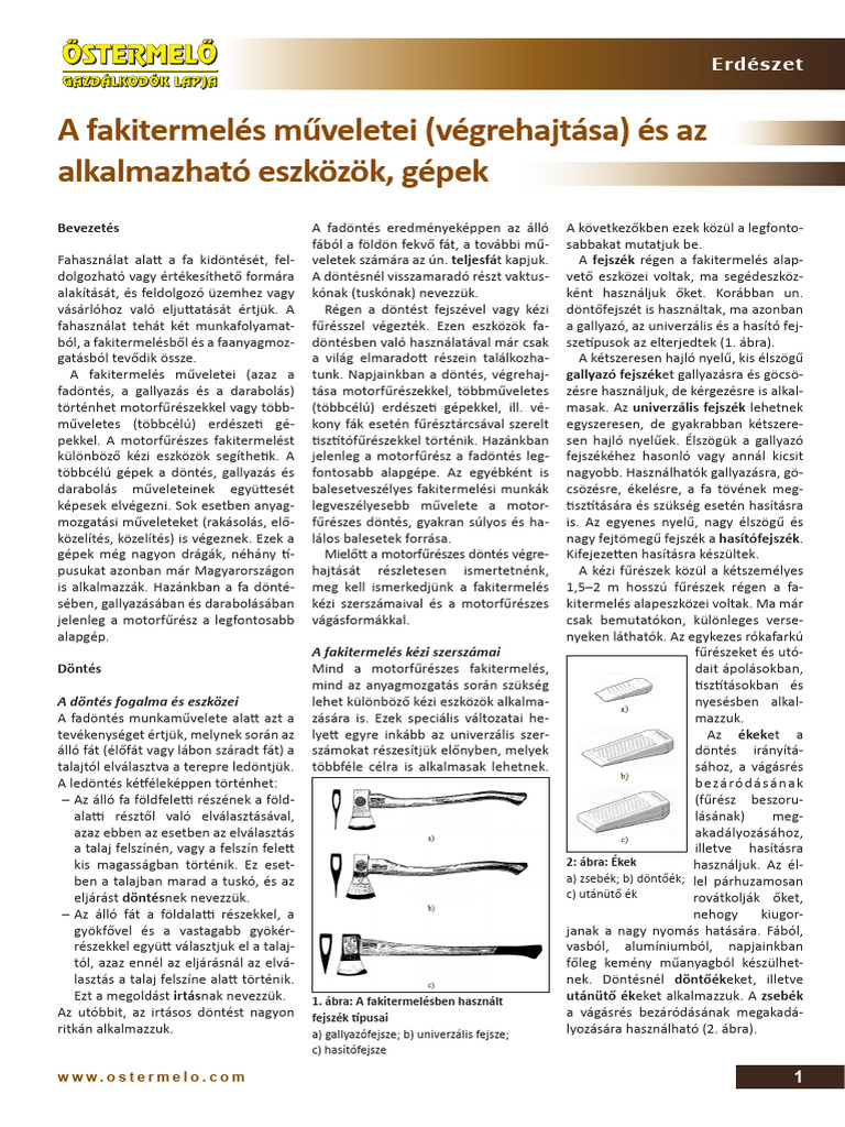 Motorfűrész | PDF