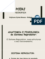 ANATO E FISIO - Reprodutor - PCERJ Necrop Prog Piabetá