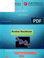 Acidos Nucleicos Bioquimica