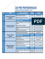 Cronograma Académico Práctica Profesional 2019-2