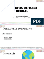 Defectos de Tubo Neural