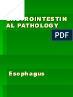 Gastrointestinal Pathology