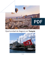 Oportunidad de Negocio en Turquía