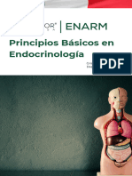 Principios Básicos en Endocrinología - DoctorSwiftie