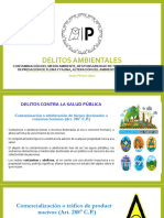 DP Iii - Delitos Ambientales