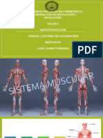 Diapositivas Musculos