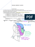 Cranial Nerves (Parts I and II) Lecture