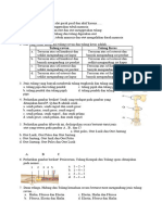 SOal PAS 2021 Sms 1 (PT)