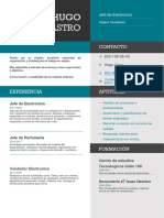 Curriculum Vitae HUGO