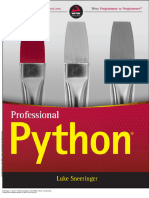 Professional - Python - (Intro)