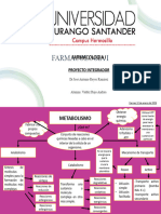 Mapa Conceptual Del Metabolismo 2