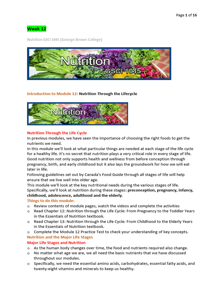 Nutrition Across Life Stages Guide | PDF | Fat | Breastfeeding