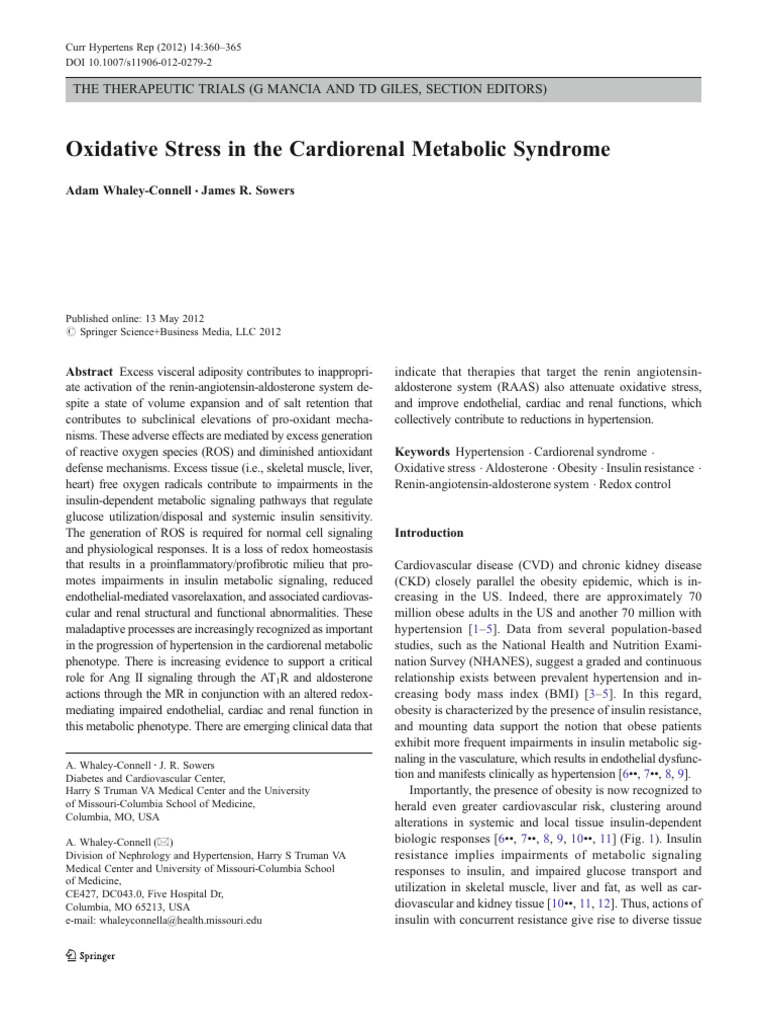 Oxidative Stress in The Cardiorenal Metabolic Syndrome: The Therapeutic ...