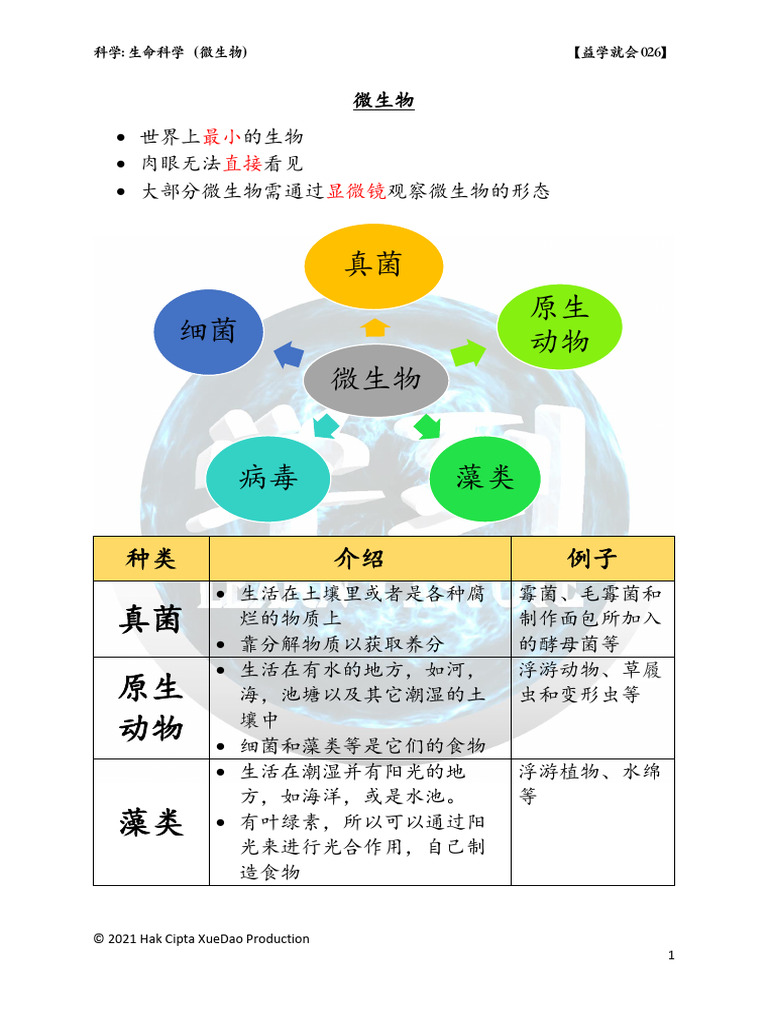 YXJH026 微生物笔记| PDF, image size:768x1024