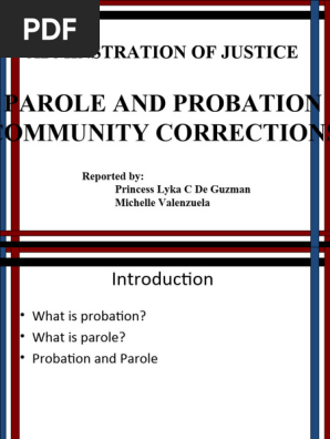 probation review-new