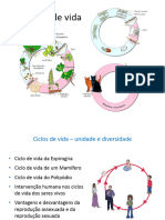 BIO - Unid6 - pp6 - Ciclos de Vida