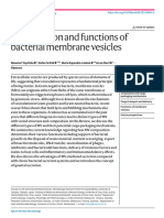 Composition and Functions of Bacterial Membrane Vesicles: Microbiology