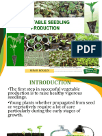 Vegetable Seedling Production V2