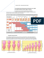 Aula Desenvolvimento Fetal