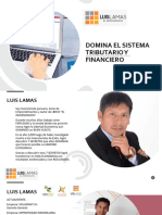 DIAPOSITIVAS II DOMINA EL SISTEMA TRIBUTARIO FINANCIERO