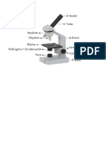 Partes Del Microscopio