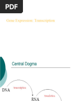 Lec7Transcription.ppt