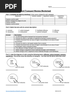 HANDOUT - Cell Transport Review Worksheet