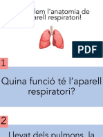 Presentació 4 (Aparell Respiratori - Fisiologia) - 1