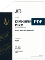 Big Data Org Certificado