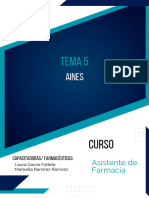 Guia Tema 5. Aines