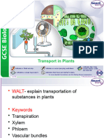 Transport in Plants Y9