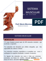 Aula3-Sistemamuscular-Prof-230531183447-73d5a323 2