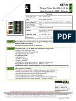 Charger Datasheet - CEF22