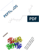 Quimica Organica II (5) Peptideos 1