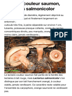 Lactaire Couleur Saumon, Lactarius Salmonicolor