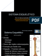 Generalidades Osteologia