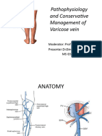 Pathophysiology and Conservative Management of Varicose Vein