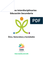Proyectos Interdisciplinarios Educacion Secundaria ENS