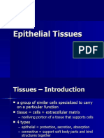 Epithelial Tissues