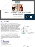 Unit 3 Notes - Communitcation Integration and Homeostasis