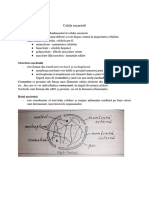 Celula Eucariotă - Nucleul