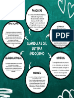 Gráfico Mapa Mental Pizarra Doodle Verde Blanco - 20240118 - 173219 - 0000