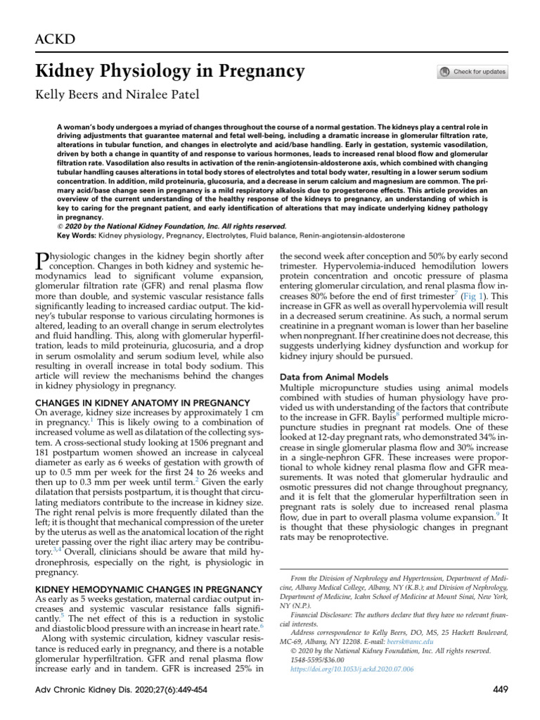 Kidney Changes During Pregnancy | PDF | Kidney | Angiotensin