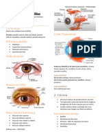 1 - Anatomia e Fisiologia Do Olho